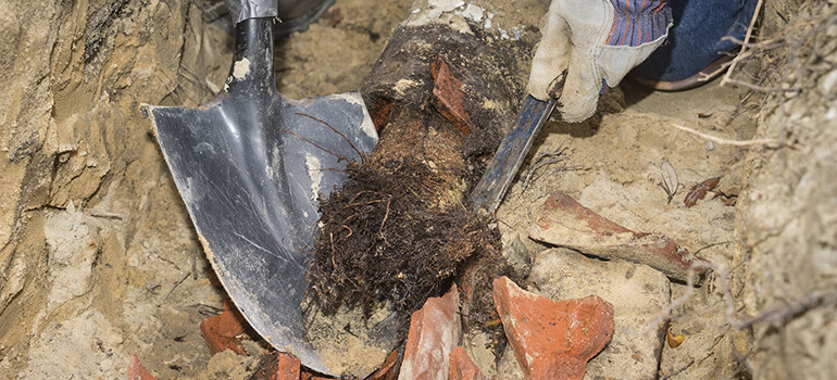 root removal